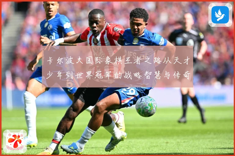 卡尔波夫国际象棋王者之路从天才少年到世界冠军的战略智慧与传奇人生
